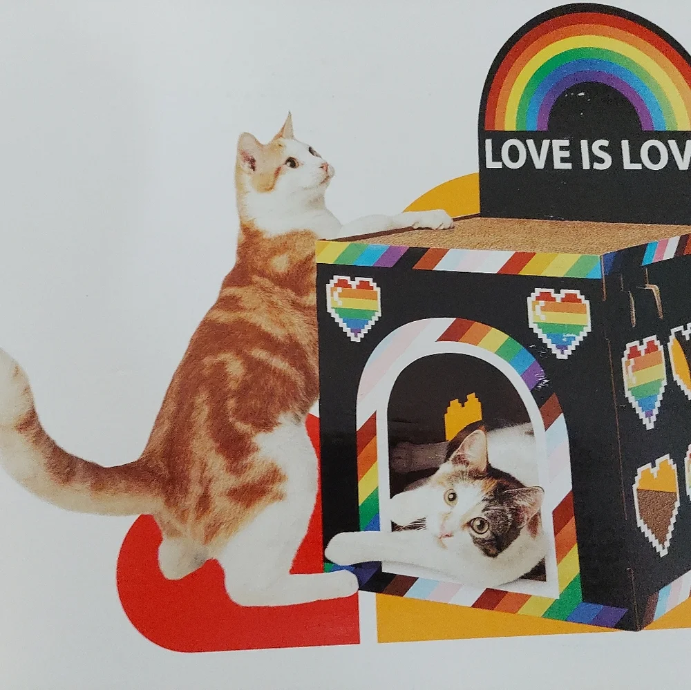 boots and barkley, Love Is Love cat scratcher